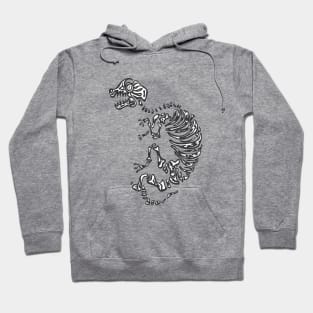 Long Sleep Dino Hoodie